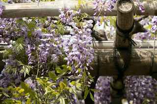 190419_001.jpg