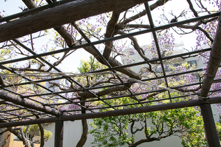 190422_005.jpg