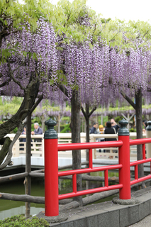 kameidotenjin