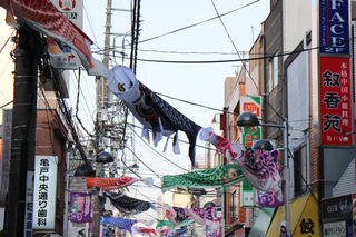 IMG_3275s.jpg
