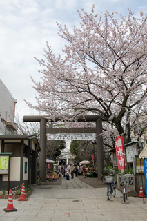 亀戸香取神社植木市