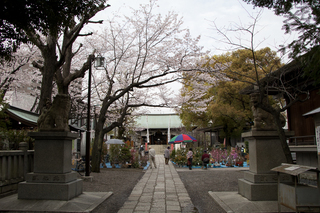 歴史の古い植木市
