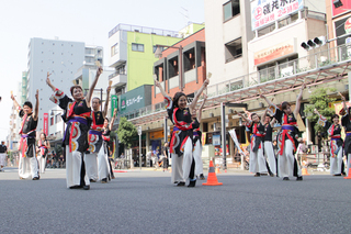 亀戸ホコ天ソーラン祭り