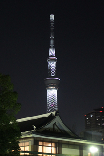 IMG_6380s.jpg